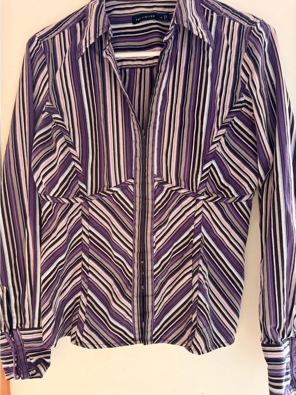 The Limited Striped Hook Eye Closure Blouse Size Medium